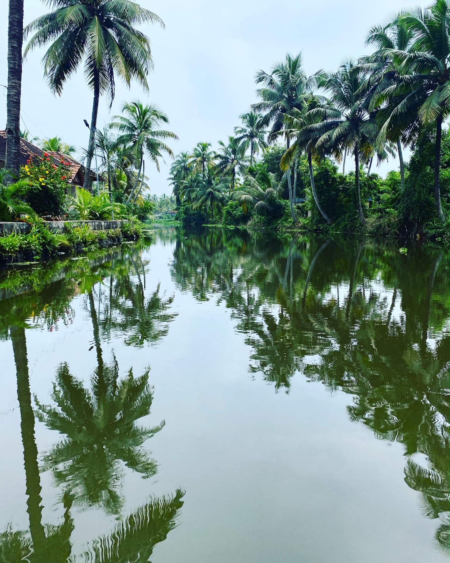 Ayur wakeup Ayurveda & Yoga Retreat, alleppey, Kerela, India